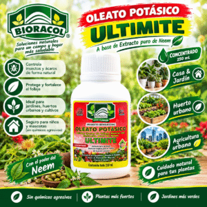 EMULSIÓN CÍTRICA CONCENTRADA X 250 mL