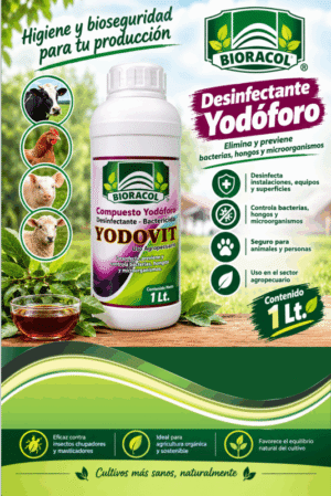 YODOVITE - DESINFECTANTE YODÓFORO X 1 Litro